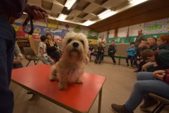 57240646_2387249471555745_7900616783650881536_n