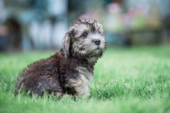 64240479_303760983887705_5542868918571368448_n