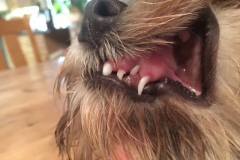 29216755_10213560858028980_962215434721951744_n